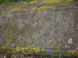 image of grave number 919717